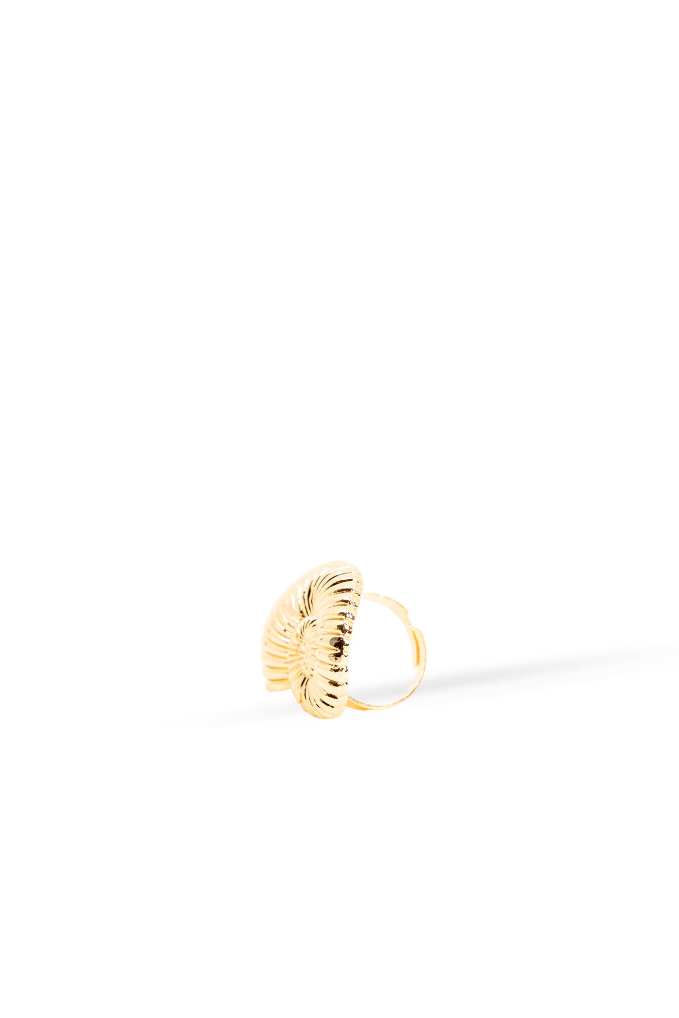 Shoreline Spiral Ring