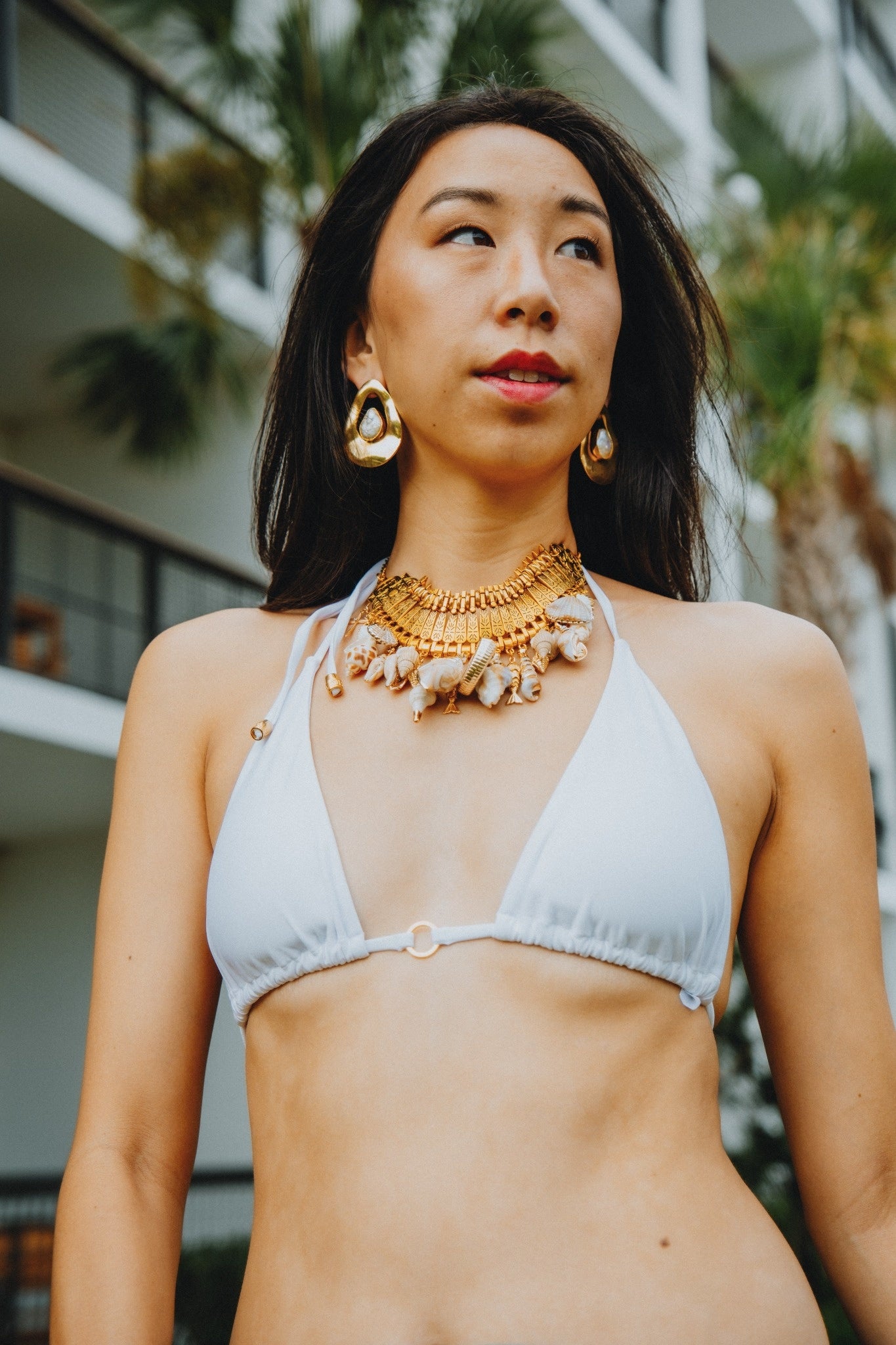 Seashell Treasure Collar Necklace